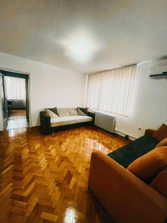 Ultracentral Big Apartment - Near The Opera Square P17 Temešvár Exteriér fotografie