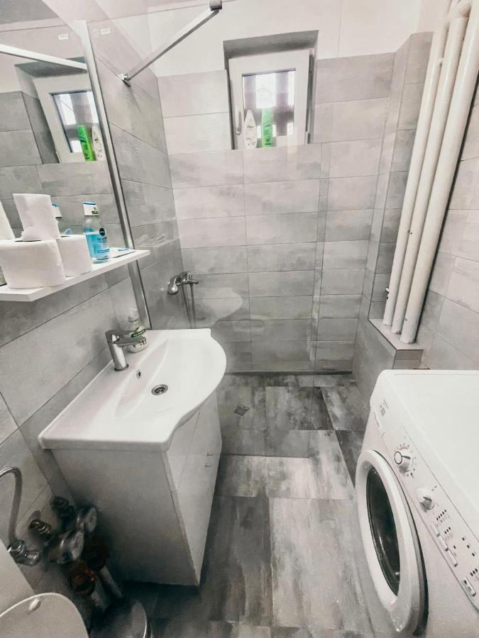 Ultracentral Big Apartment - Near The Opera Square P17 Temešvár Exteriér fotografie