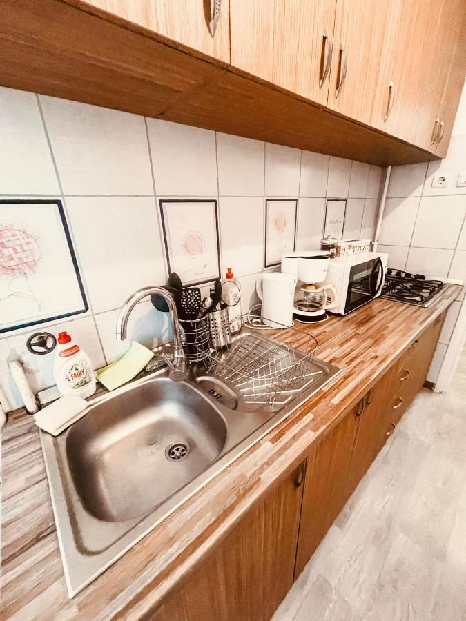 Ultracentral Big Apartment - Near The Opera Square P17 Temešvár Exteriér fotografie