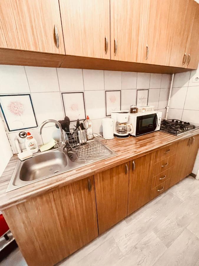Ultracentral Big Apartment - Near The Opera Square P17 Temešvár Exteriér fotografie