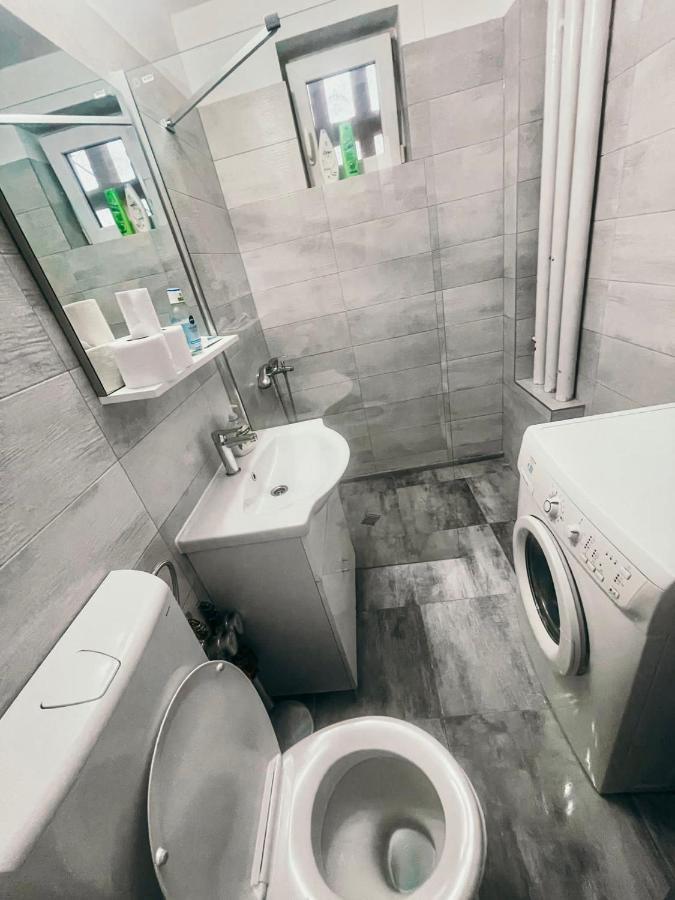 Ultracentral Big Apartment - Near The Opera Square P17 Temešvár Exteriér fotografie