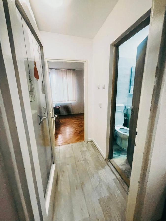 Ultracentral Big Apartment - Near The Opera Square P17 Temešvár Exteriér fotografie
